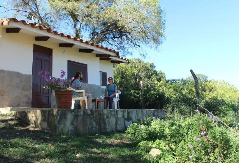 پانسیون Hostel Serena
