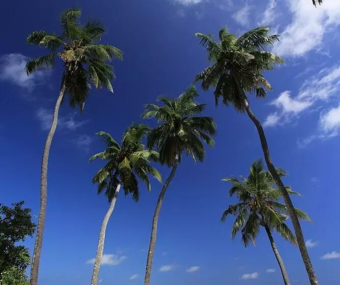 پانسیون Local Island Inn