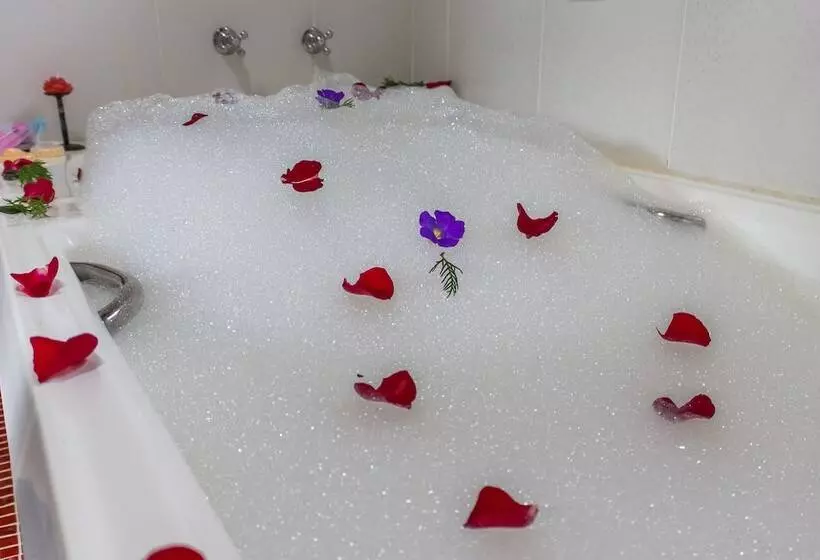 ペンション Pousada Espelho Dágua