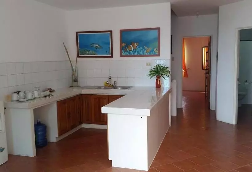 Lomakeskus Divepoint Alcoy