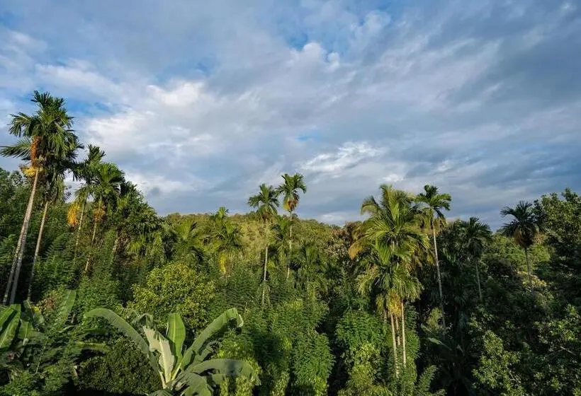ホテル Diyaluma Nas Villa