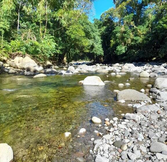 تختخواب و صبحانه Centro Ananda