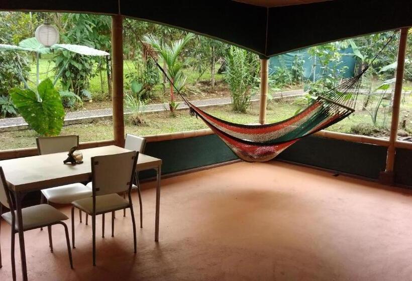 تختخواب و صبحانه Centro Ananda