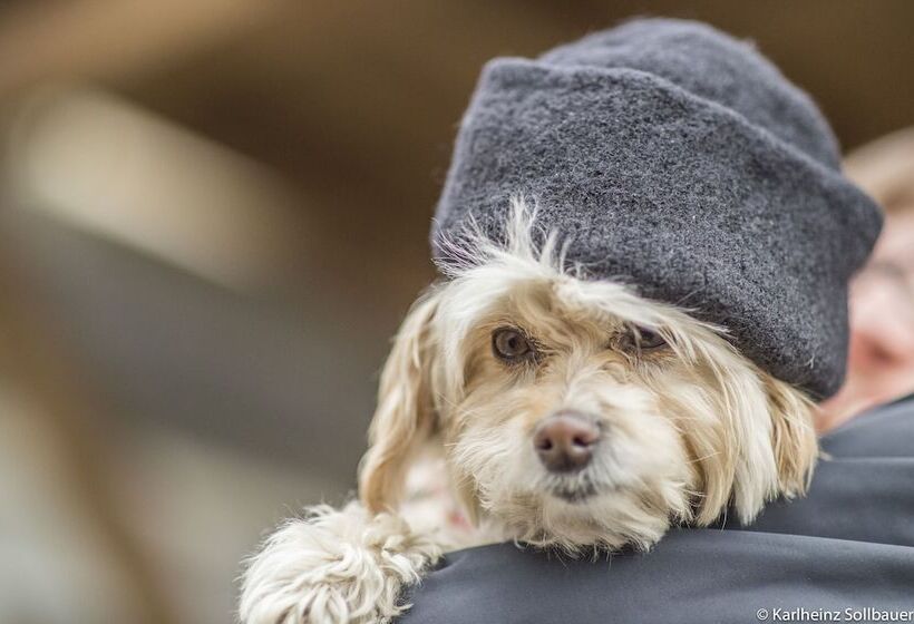 فندق Mair Am Ort