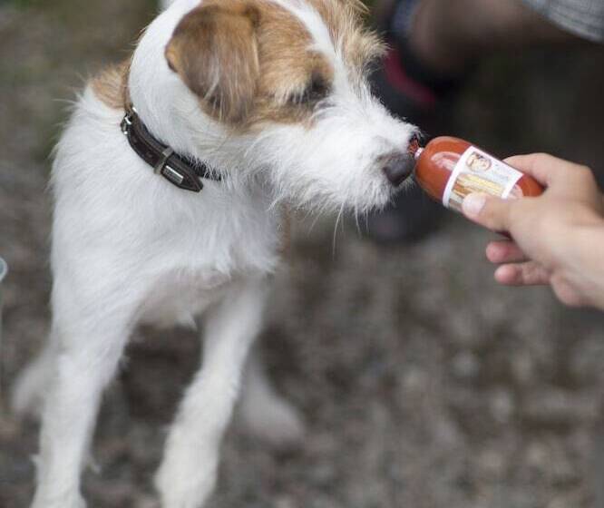 فندق Mair Am Ort