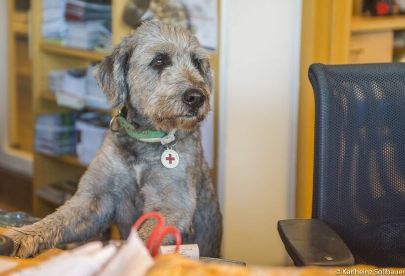 فندق Mair Am Ort