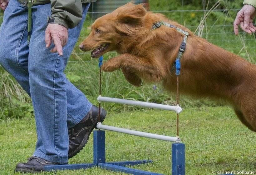 فندق Mair Am Ort