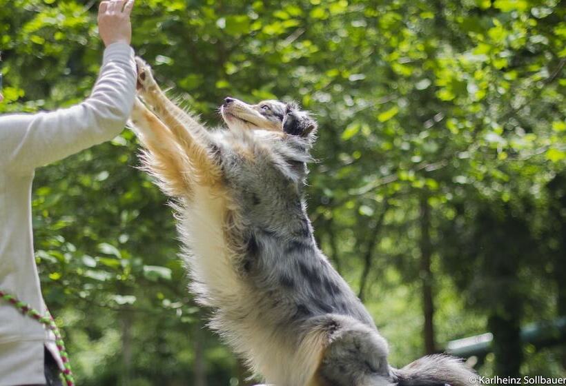 فندق Mair Am Ort