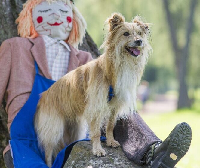 فندق Mair Am Ort