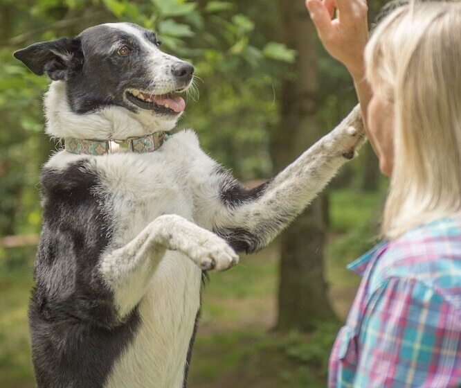 فندق Mair Am Ort