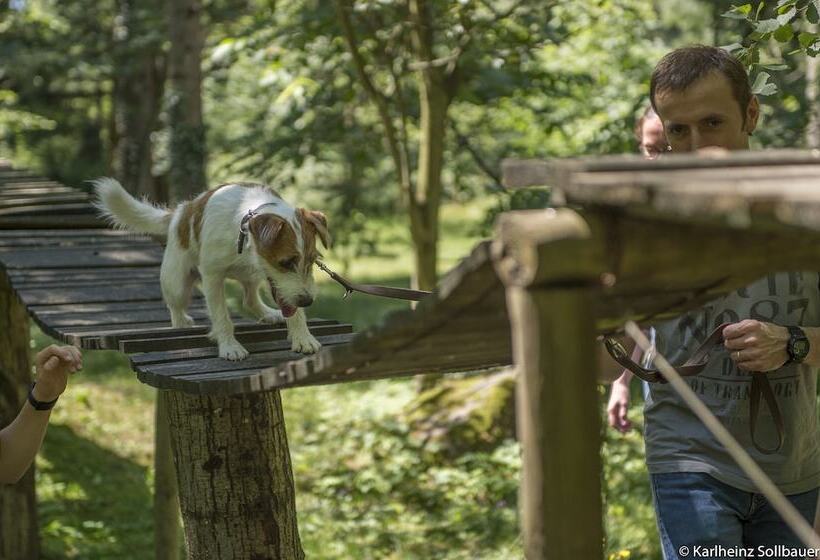 فندق Mair Am Ort