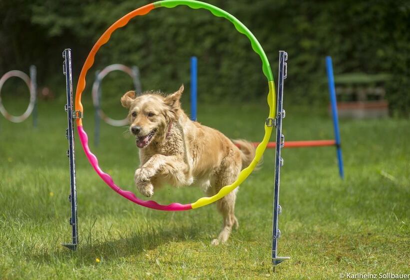 فندق Mair Am Ort