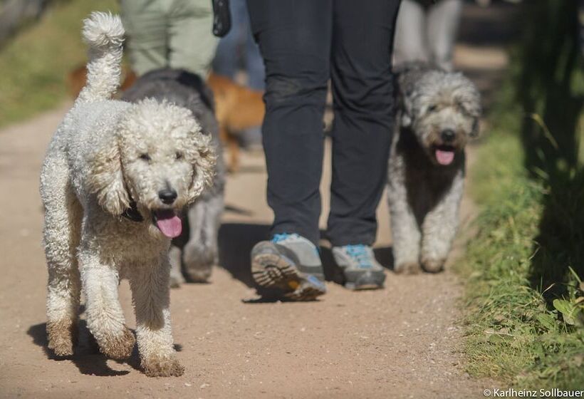 فندق Mair Am Ort