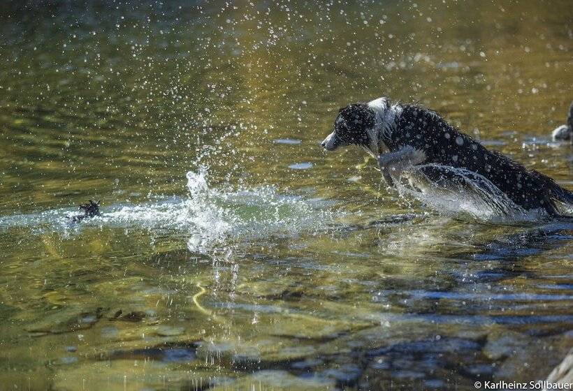 فندق Mair Am Ort