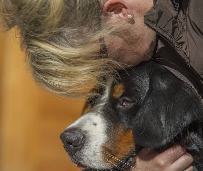 فندق Mair Am Ort