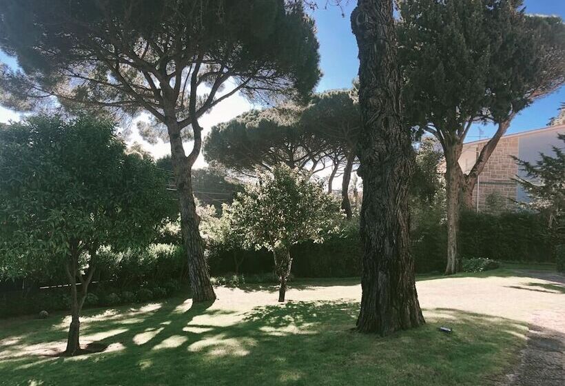 هتل Soul Lab Eco Yoga Retreat