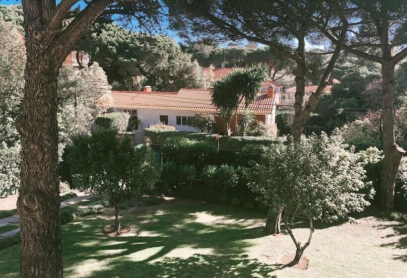 هتل Soul Lab Eco Yoga Retreat