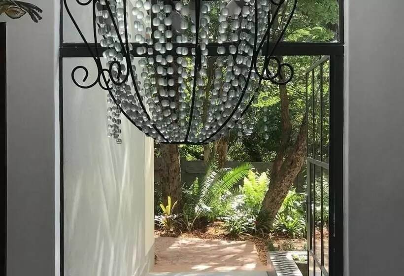 پانسیون 528 Victoria Falls Guest House