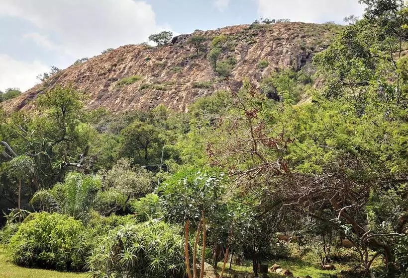 Majatalo Windsor Cottage