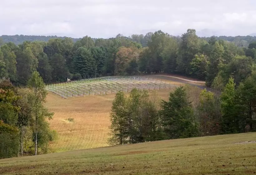 Hotelli Dahlonega Resort And Vineyard