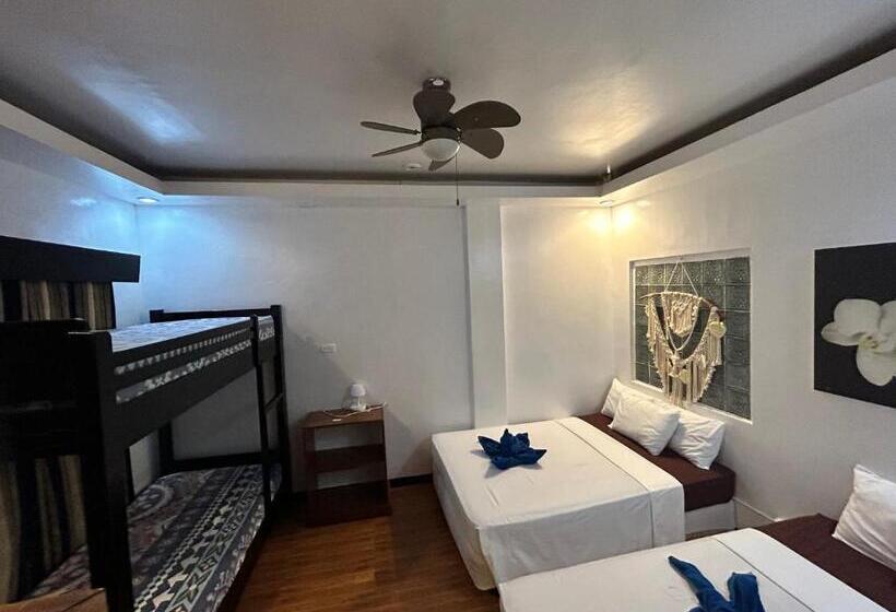 Alberg Seaslugs Traveller S Inn