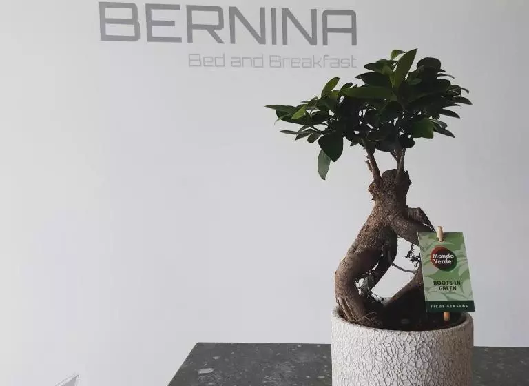 Bernina Bed And Breakfast
