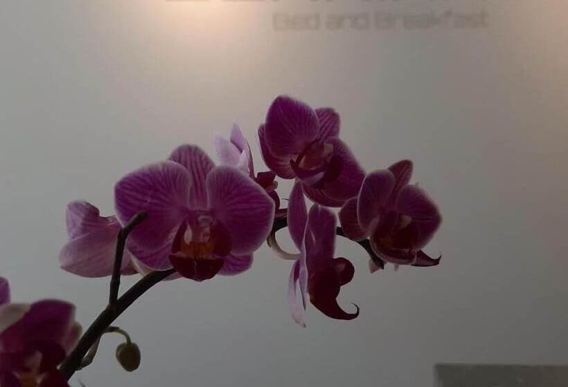 Bernina Bed And Breakfast