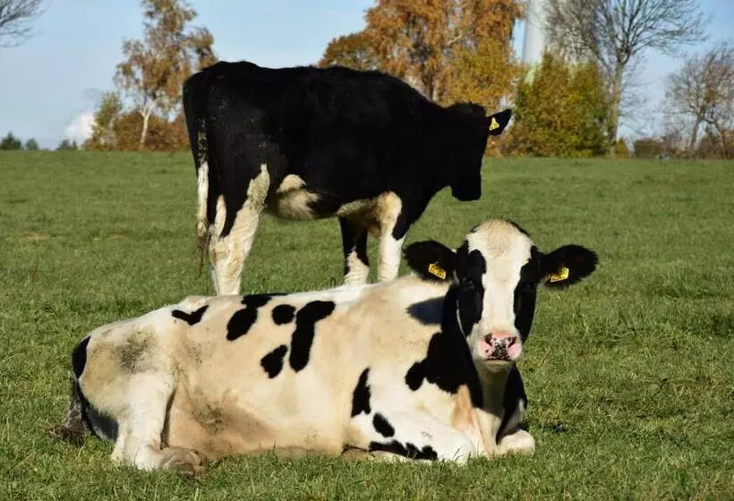 Hotelli Haus Seeblick