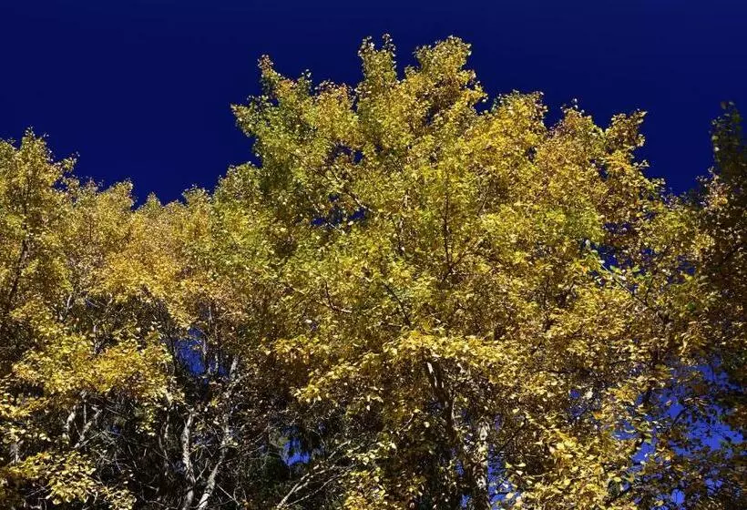 Hotelli Haus Seeblick