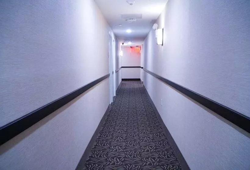 Hotelli Mint Jfk Airport