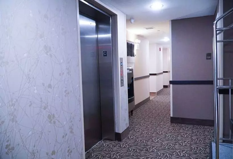 Hotelli Mint Jfk Airport