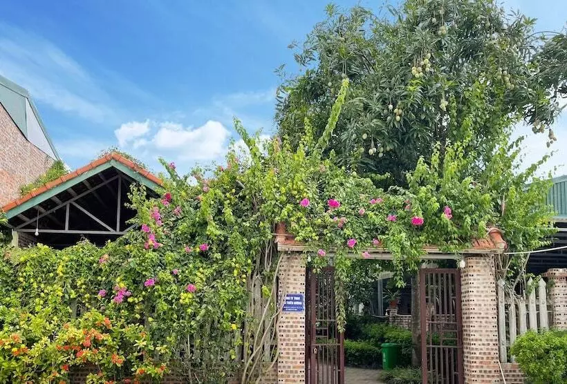 تختخواب و صبحانه Tam Coc Golden Sky Homestay