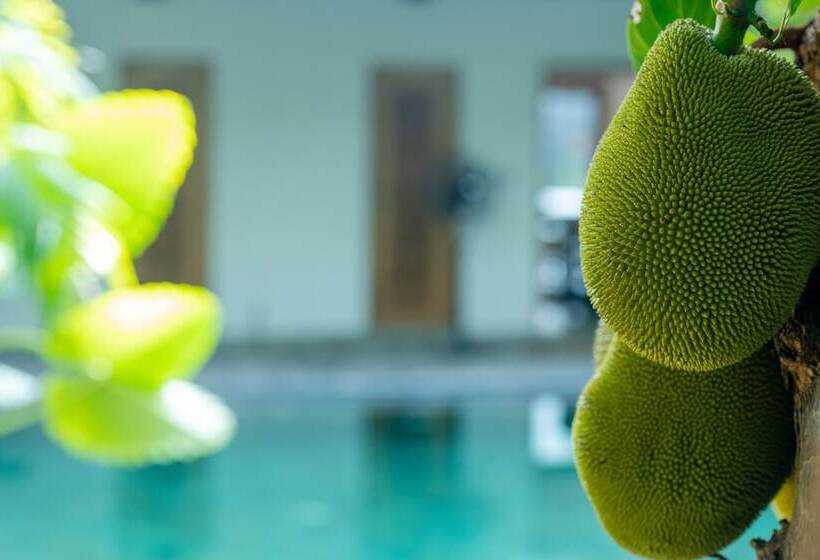 فندق Aryana Boutique