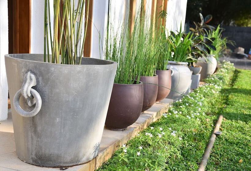 فندق Aryana Boutique