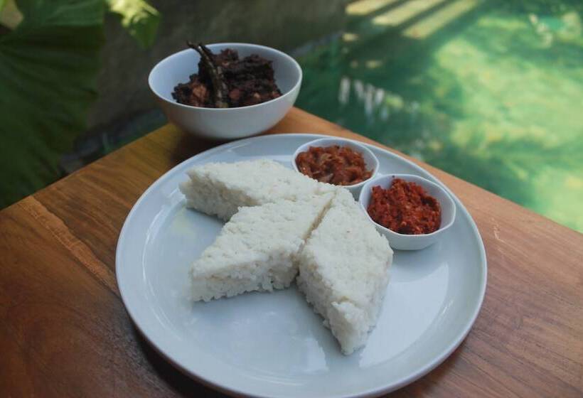 فندق Aryana Boutique