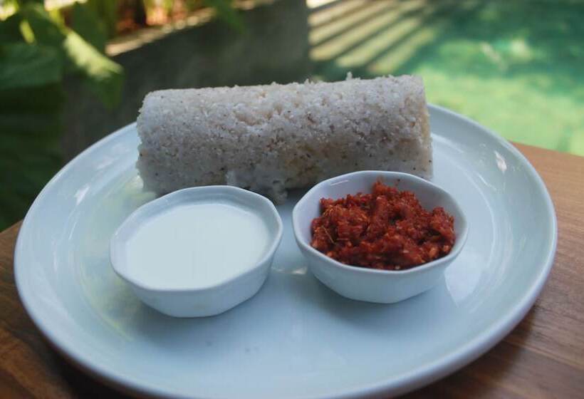 فندق Aryana Boutique