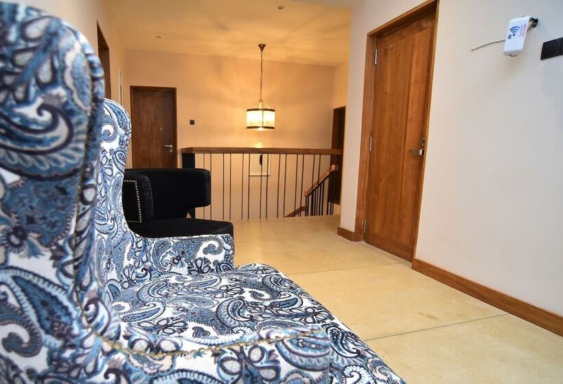 فندق Aryana Boutique