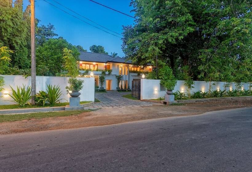 فندق Aryana Boutique