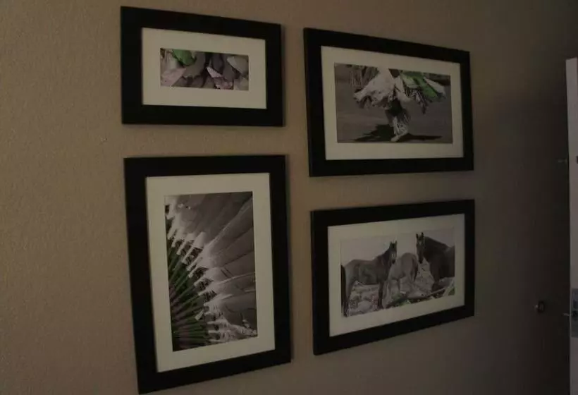 Hotelli La Quinta By Wyndham West Memphis