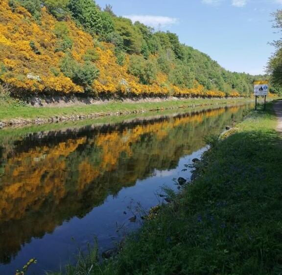 Отель The Coo's Guest House