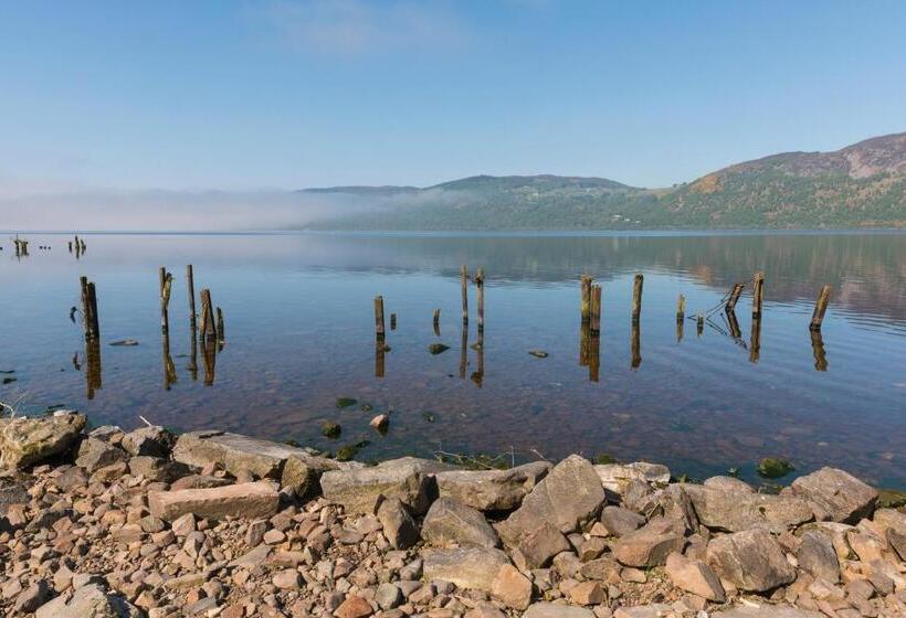 Отель The Coo's Guest House