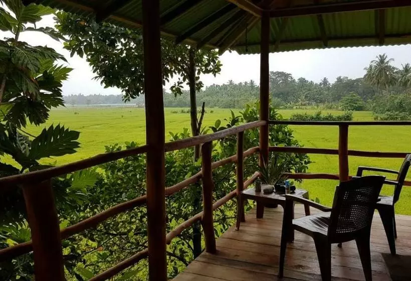 پانسیون Lake Side View Cabana