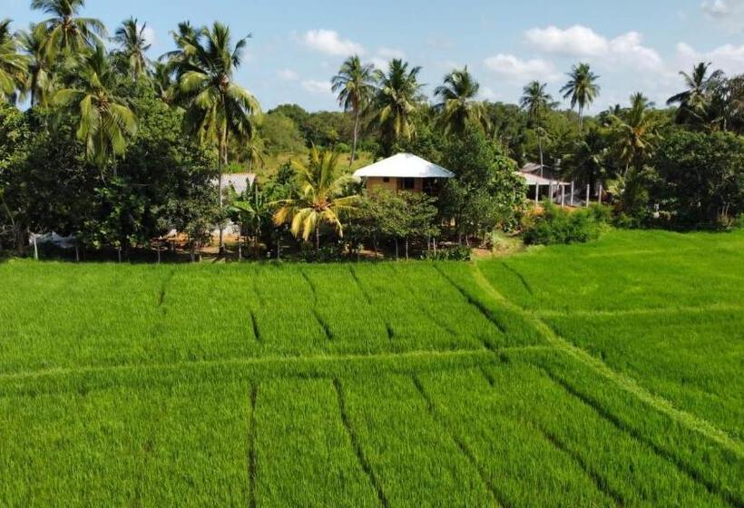 Pensjonat Lake Side View Cabana