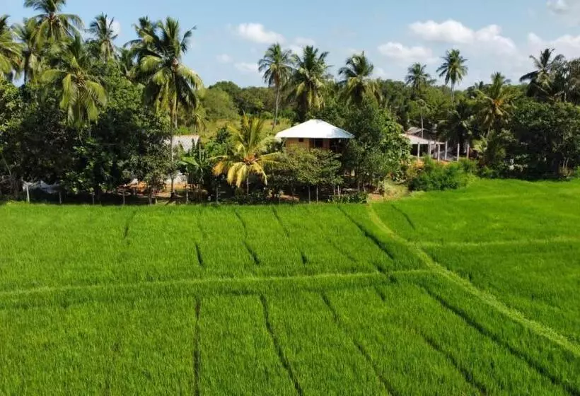 پانسیون Lake Side View Cabana