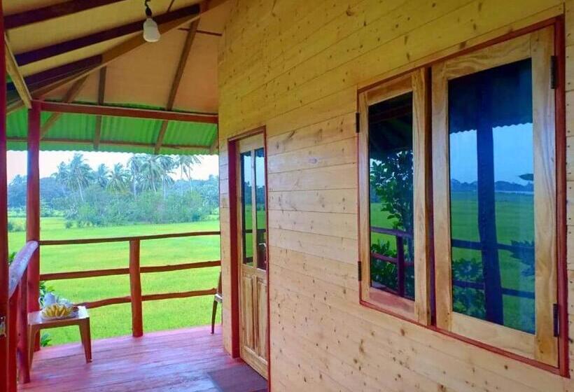 Pensjonat Lake Side View Cabana