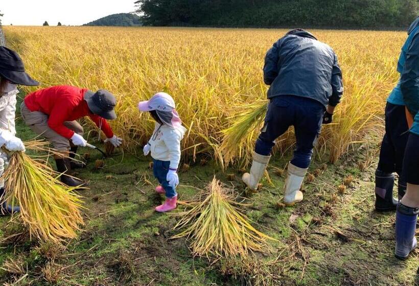 膳宿费 Guest House Kurihai Vacation Stay 21433v