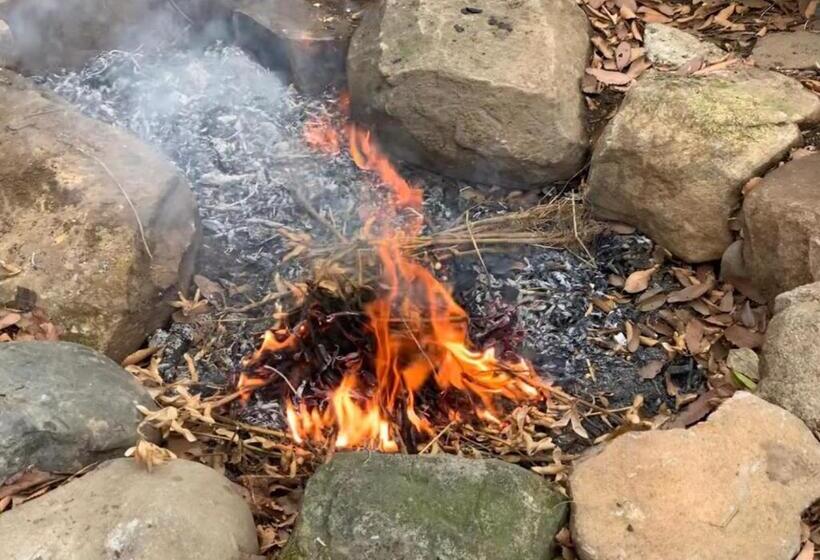 膳宿费 Guest House Kurihai Vacation Stay 21433v