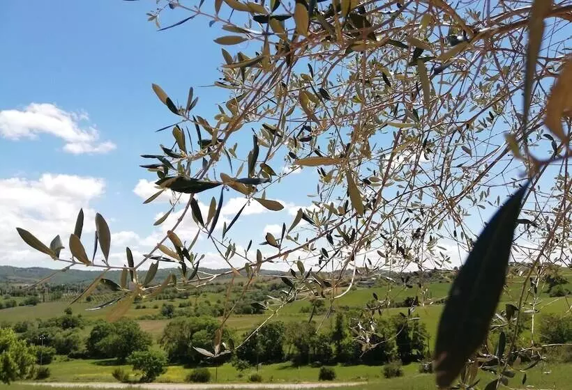 Hotelli Agriturismo Le Piccole Macìe