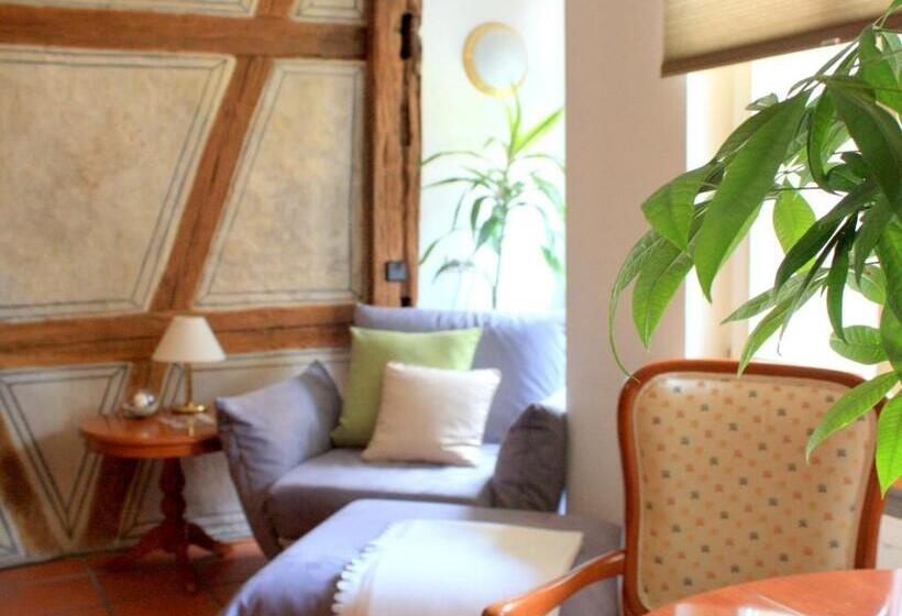 펜션 D & S Hotel & Ferienwohnungen