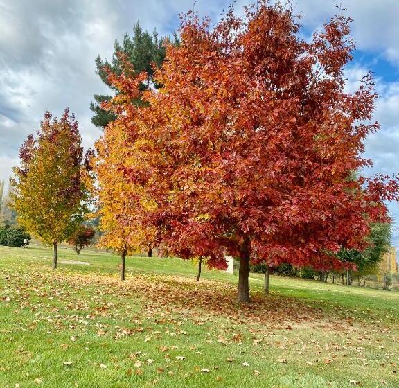تختخواب و صبحانه La Aguada